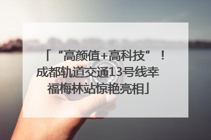 “高颜值+高科技”！成都轨道交通13号线幸福梅林站惊艳亮相