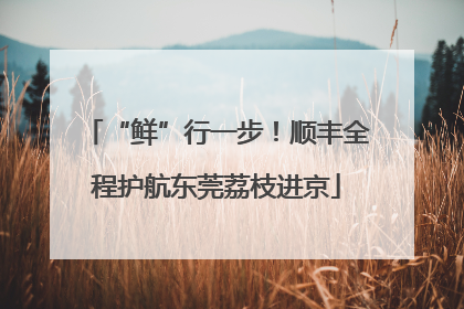 “鲜”行一步！顺丰全程护航东莞荔枝进京