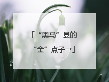 “黑马”县的“金”点子→