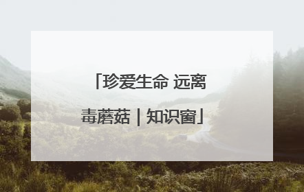 珍爱生命 远离毒蘑菇｜知识窗