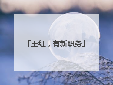 王红，有新职务