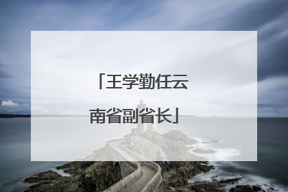 王学勤任云南省副省长