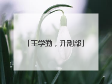 王学勤，升副部