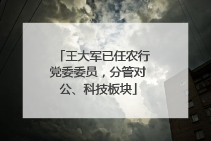 王大军已任农行党委委员，分管对公、科技板块