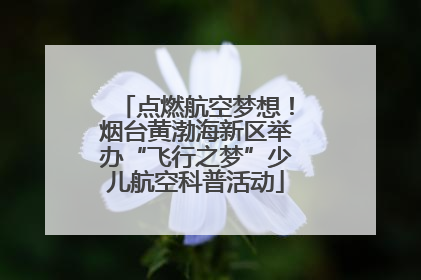 点燃航空梦想！烟台黄渤海新区举办“飞行之梦”少儿航空科普活动