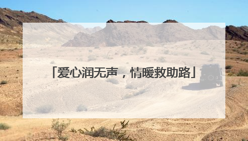爱心润无声，情暖救助路