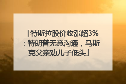 特斯拉股价收涨超3%：特朗普无意沟通，马斯克父亲劝儿子低头
