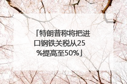特朗普称将把进口钢铁关税从25%提高至50%
