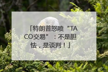 特朗普怒喷“TACO交易”：不是胆怯，是谈判！