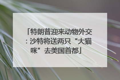 特朗普迎来动物外交：沙特将送两只“大猫咪”去美国首都
