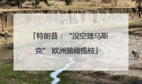 特朗普：“没空理马斯克” 欧洲抛橄榄枝