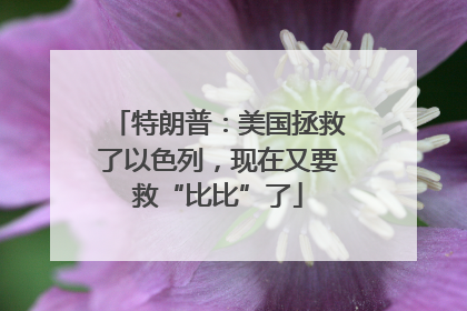 特朗普：美国拯救了以色列，现在又要救“比比”了