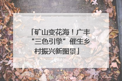 矿山变花海！广丰“三色引擎”催生乡村振兴新图景