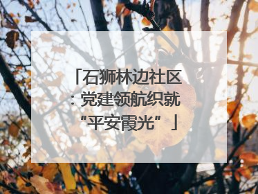 石狮林边社区：党建领航织就“平安霞光”