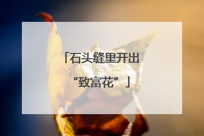 石头缝里开出“致富花”