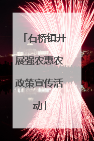 石桥镇开展强农惠农政策宣传活动