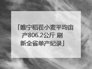 睢宁稻茬小麦平均亩产806.2公斤 刷新全省单产纪录