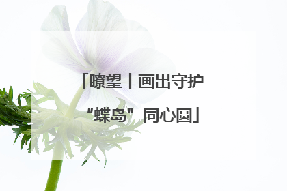 瞭望丨画出守护“蝶岛”同心圆
