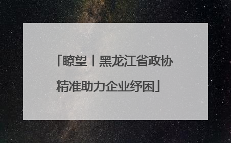 瞭望丨黑龙江省政协精准助力企业纾困
