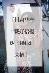 甘肃华亭：栽好梧桐树 引得凤来栖