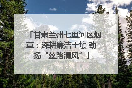 甘肃兰州七里河区烟草：深耕廉洁土壤 劲扬“丝路清风”