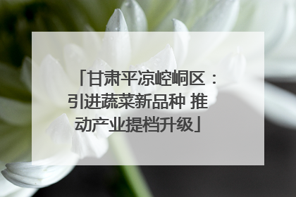 甘肃平凉崆峒区：引进蔬菜新品种 推动产业提档升级