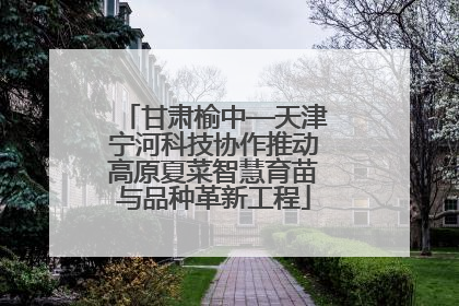 甘肃榆中—天津宁河科技协作推动高原夏菜智慧育苗与品种革新工程