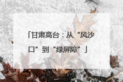 甘肃高台：从“风沙口”到“绿屏障”