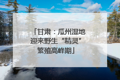 甘肃：瓜州湿地迎来野生“精灵”繁殖高峰期
