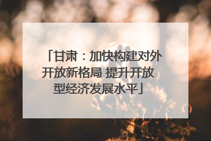 甘肃：加快构建对外开放新格局 提升开放型经济发展水平