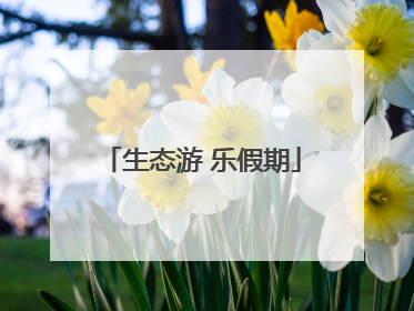 生态游 乐假期