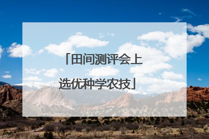 田间测评会上选优种学农技