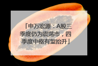 申万宏源：A股三季度仍为震荡市，四季度中枢有望抬升