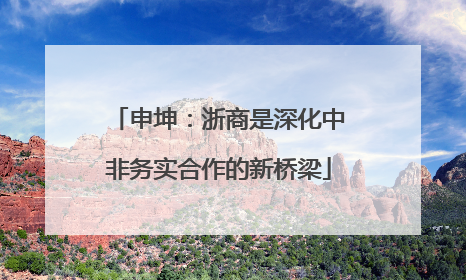 申坤：浙商是深化中非务实合作的新桥梁