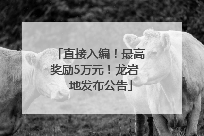 直接入编！最高奖励5万元！龙岩一地发布公告