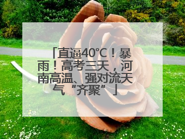 直逼40℃！暴雨！高考三天，河南高温、强对流天气“齐聚”