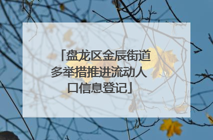 盘龙区金辰街道多举措推进流动人口信息登记