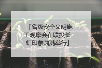 省级安全文明施工观摩会在联投长虹印象圆满举行