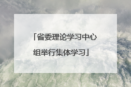 省委理论学习中心组举行集体学习