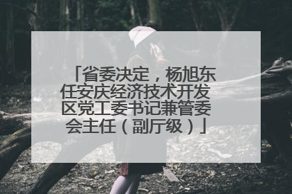 省委决定，杨旭东任安庆经济技术开发区党工委书记兼管委会主任（副厅级）