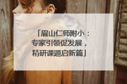 眉山仁师附小：专家引领促发展，精研课题启新篇