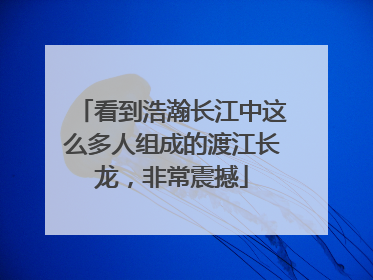看到浩瀚长江中这么多人组成的渡江长龙，非常震撼