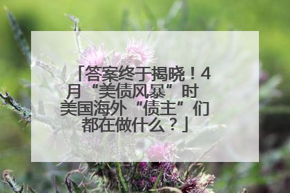 答案终于揭晓！4月“美债风暴”时 美国海外“债主”们都在做什么？