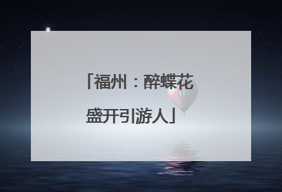 福州：醉蝶花盛开引游人