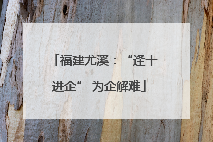 福建尤溪：“逢十进企” 为企解难