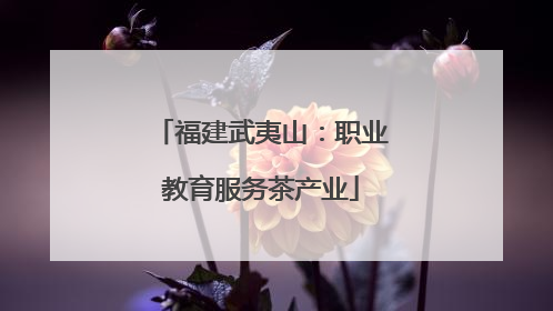 福建武夷山：职业教育服务茶产业