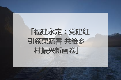 福建永定：党建红引领果蔬香 共绘乡村振兴新画卷