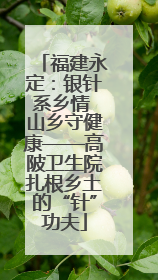 福建永定：银针系乡情 山乡守健康——高陂卫生院扎根乡土的“针”功夫