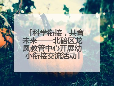 科学衔接，共育未来——北碚区龙凤教管中心开展幼小衔接交流活动