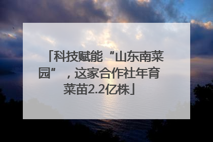 科技赋能“山东南菜园”，这家合作社年育菜苗2.2亿株